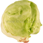 iceberg lettuce